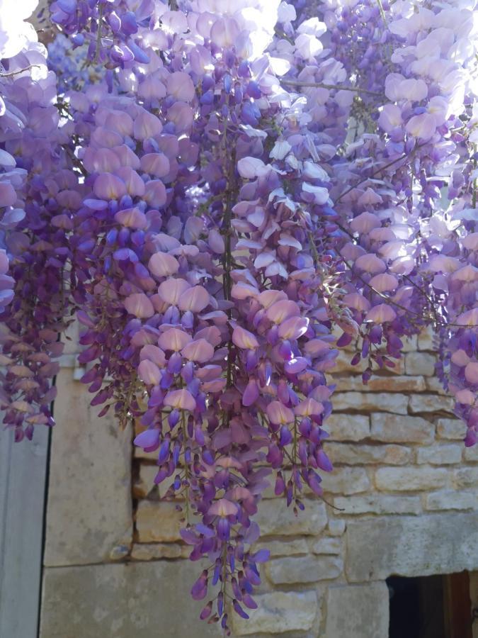 Wisteria Cottage Les Adjots Luaran gambar